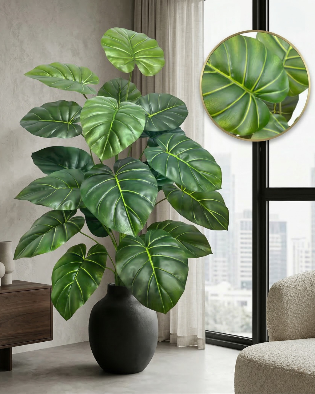 Monstera Scultorea - Vèra