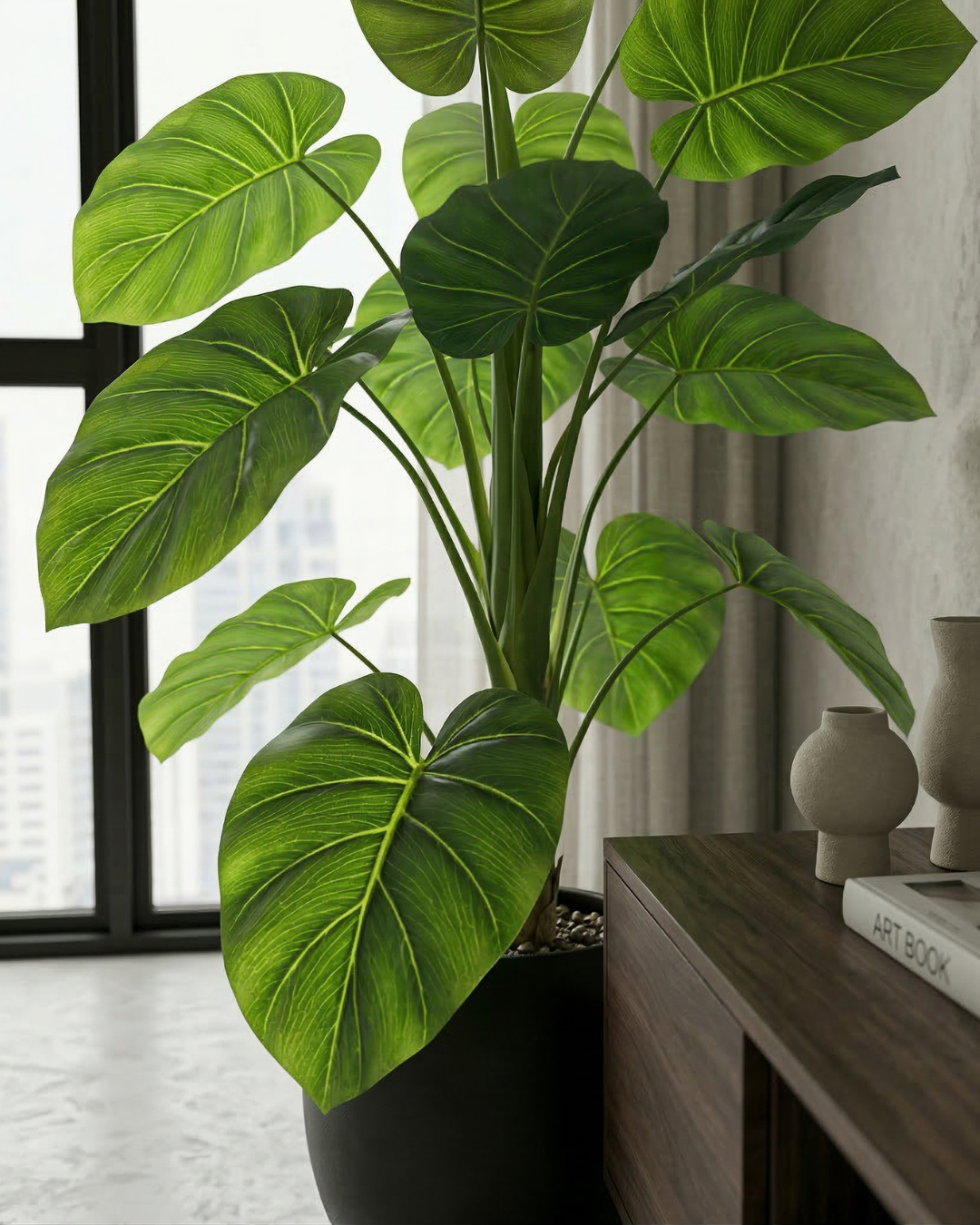 Monstera Scultorea - Vèra