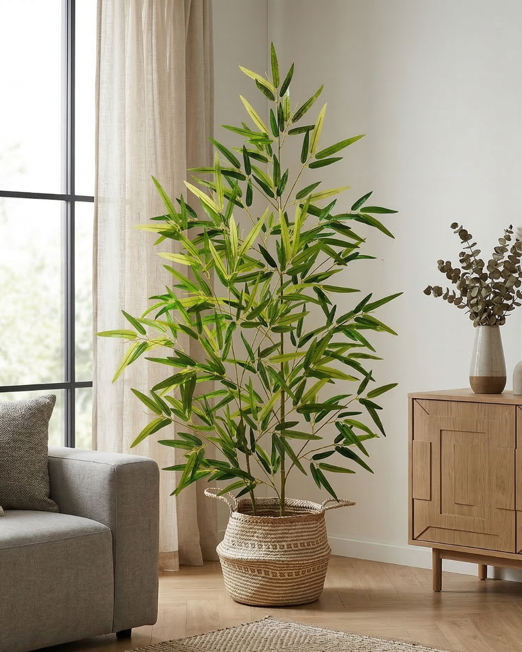 Bambù Arioso - Vèra