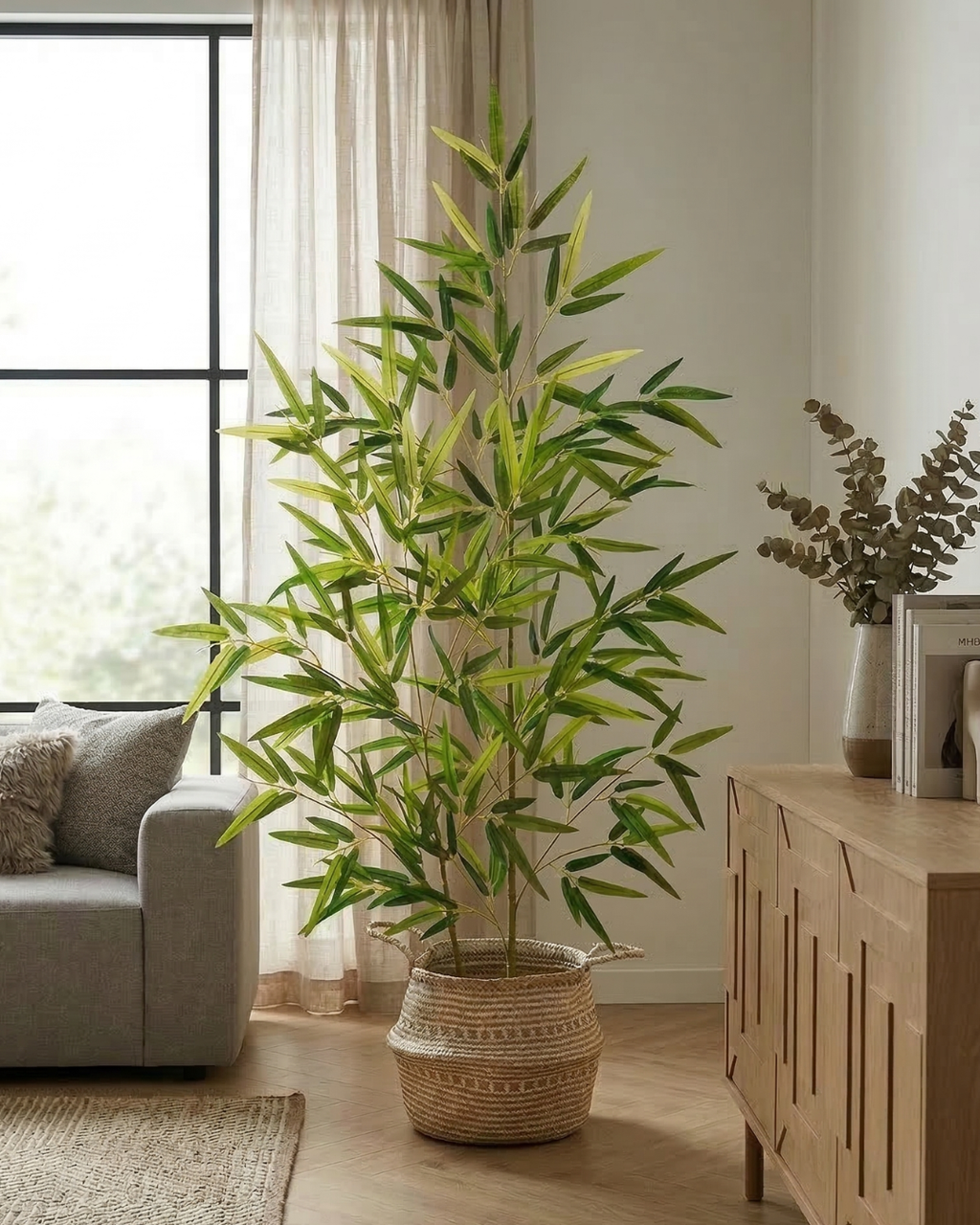 Bambù Arioso - Vèra